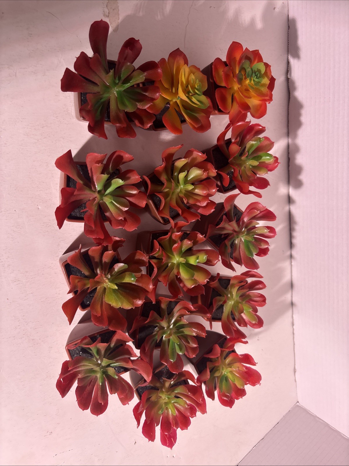 Succulent plants Artificial Variety Of 14 Plants