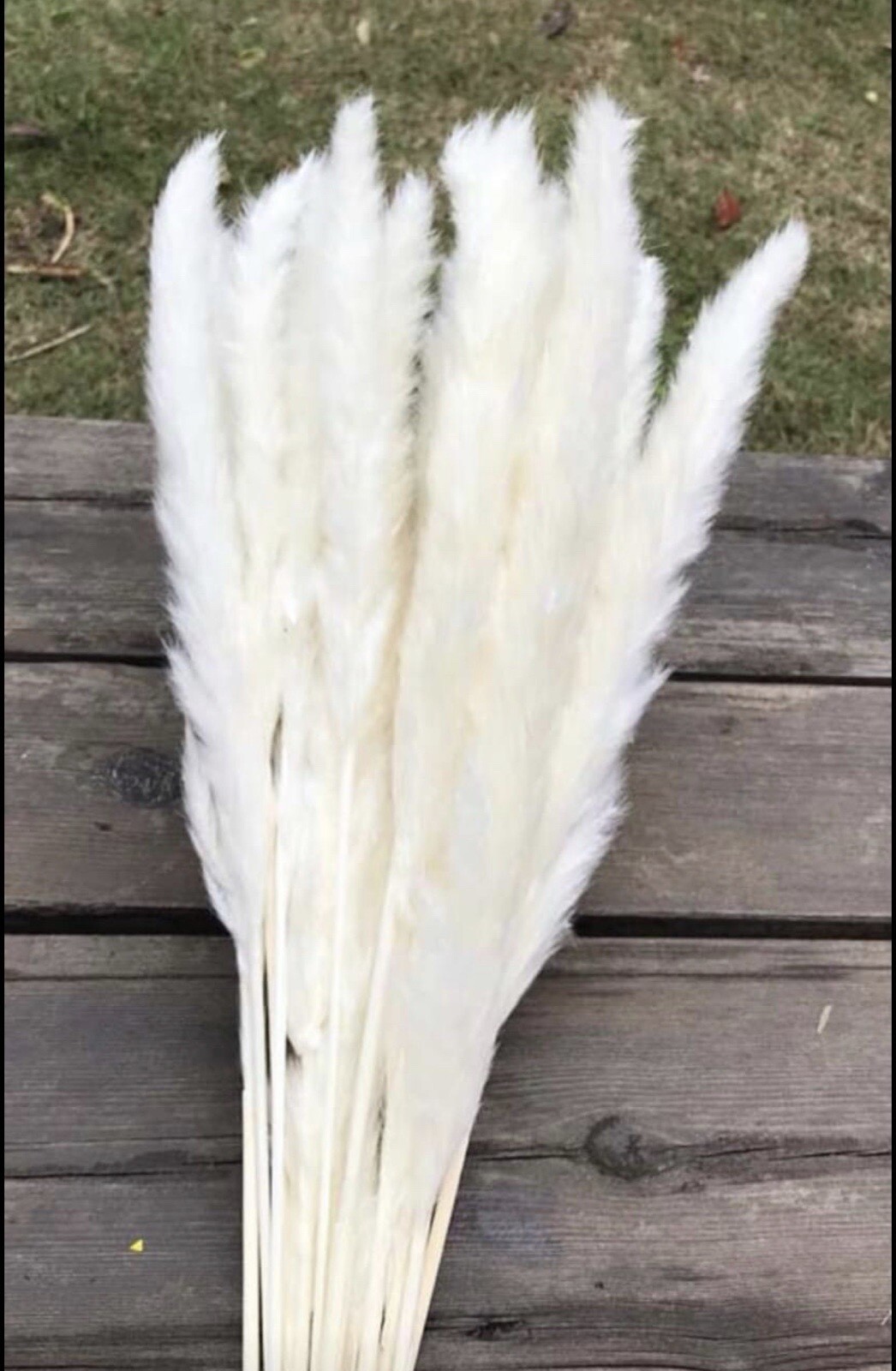 15PCS Natural Dried Pampas Grass 24 In. Reed Flower Wedding Bouquet Home Decors