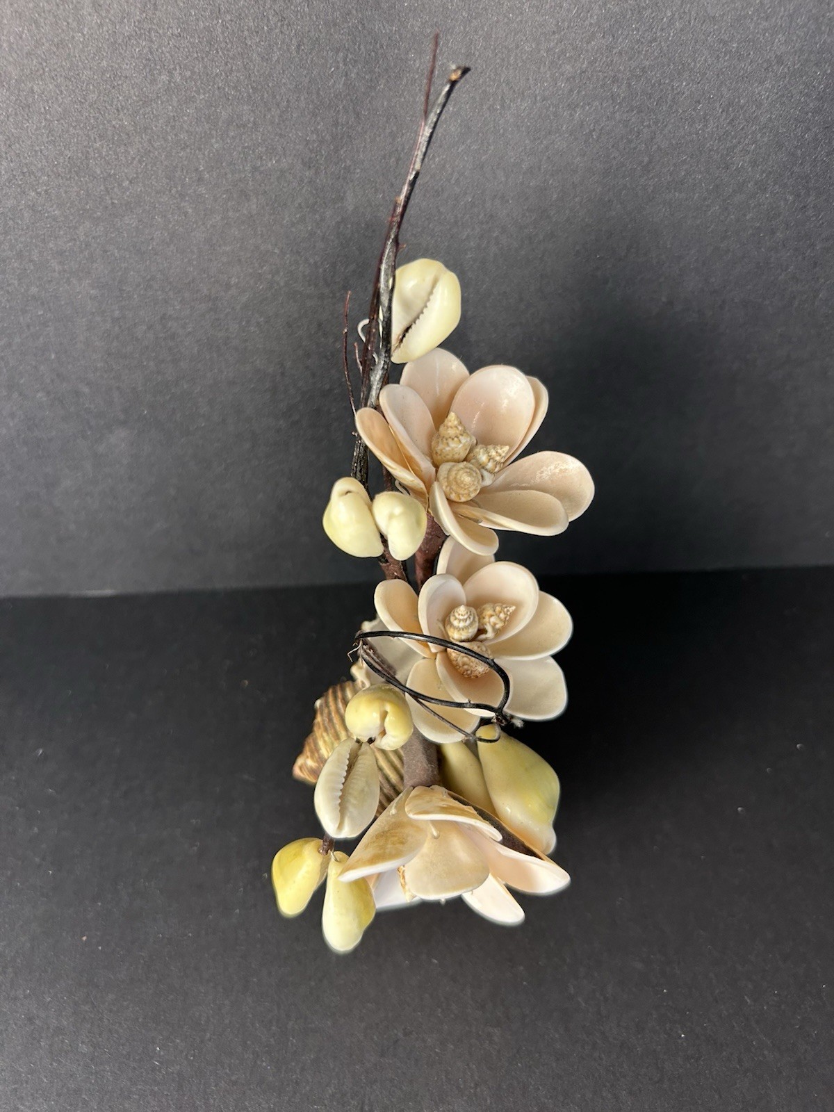 Vintage Cottagecore Kitschy Hand Made Sea Shell Floral Arrangement 6”x4”