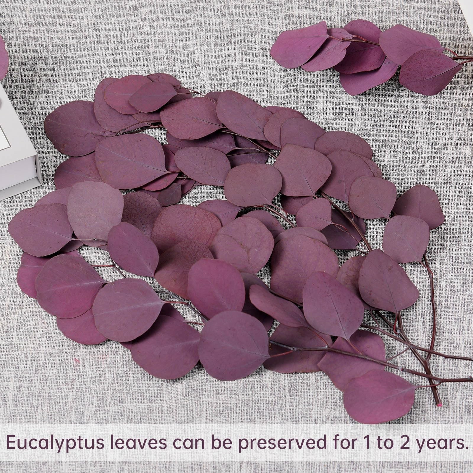Preserved Dried Eucalyptus Stems, Purple Eucalyptus Leaves, 4-10 Pcs Silver D…