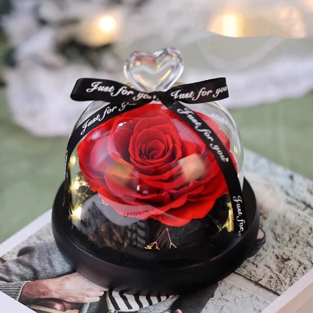 Eternal Rose flower Preserved rose everlasting rose flower gift with Led Light