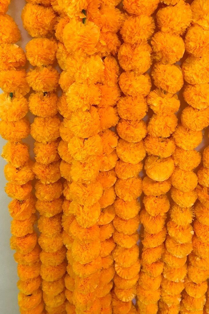 Marigold Garland, Dia De Los Muertos, Day of the Dead, Indian Wedding Diwali