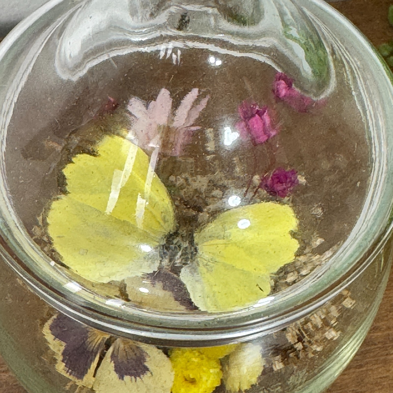 Vintage Glass Cloche Dome Dried Flowers Butterfly Terrarium Apothecary Decor