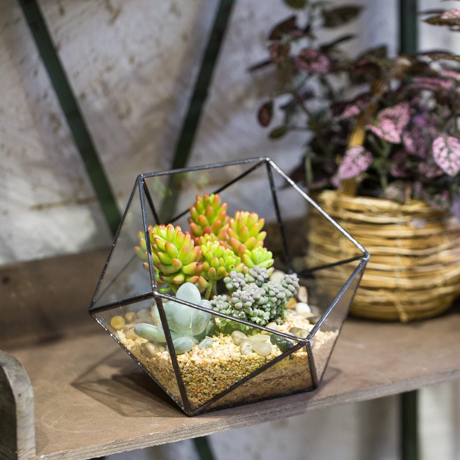 Opened Geometric Glass Terrarium, 6.69″ Bowl Shape Planter For Succulent Plant