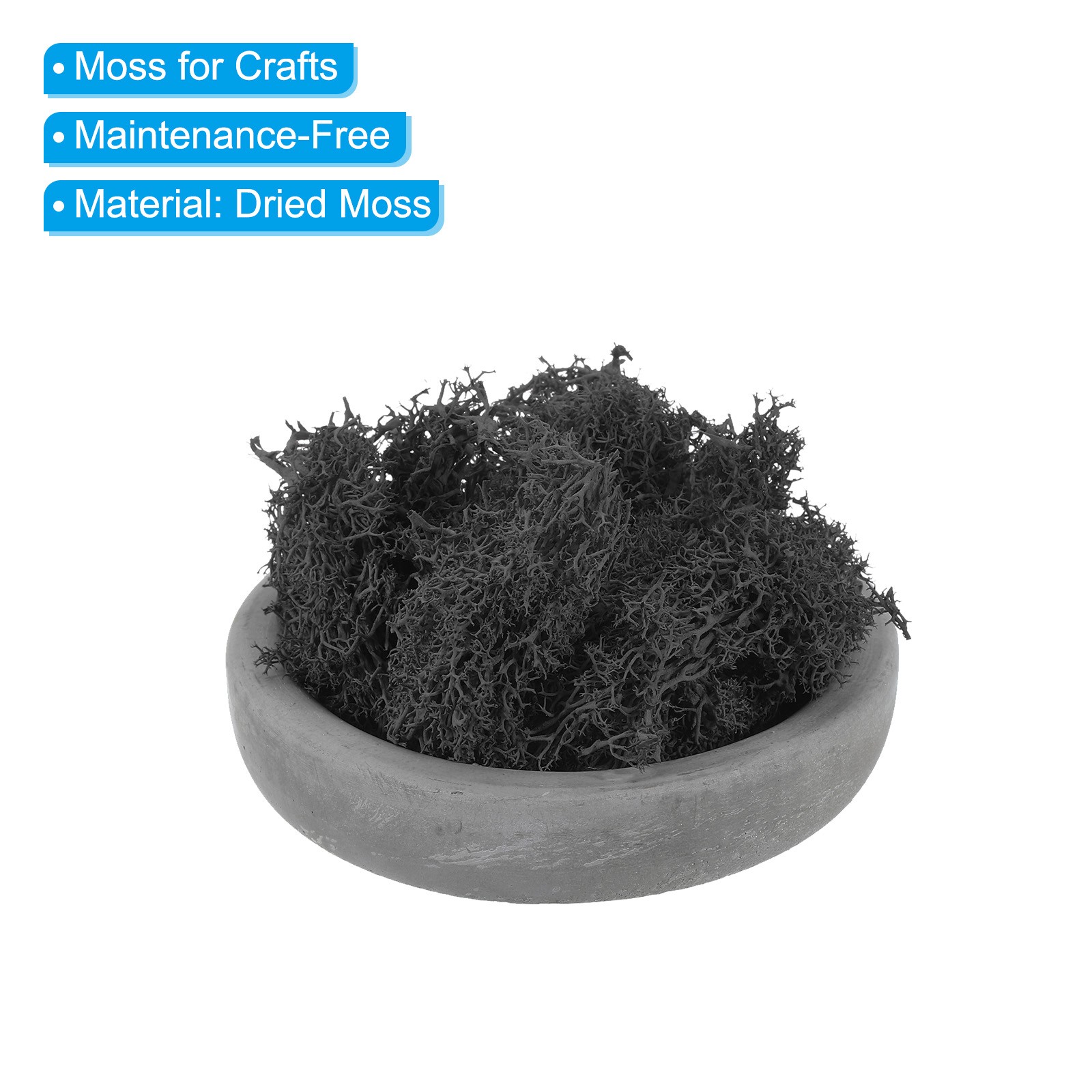3.5 OZ Fake Moss Preserved Reindeer Moss Artificial Moss Lichen Black