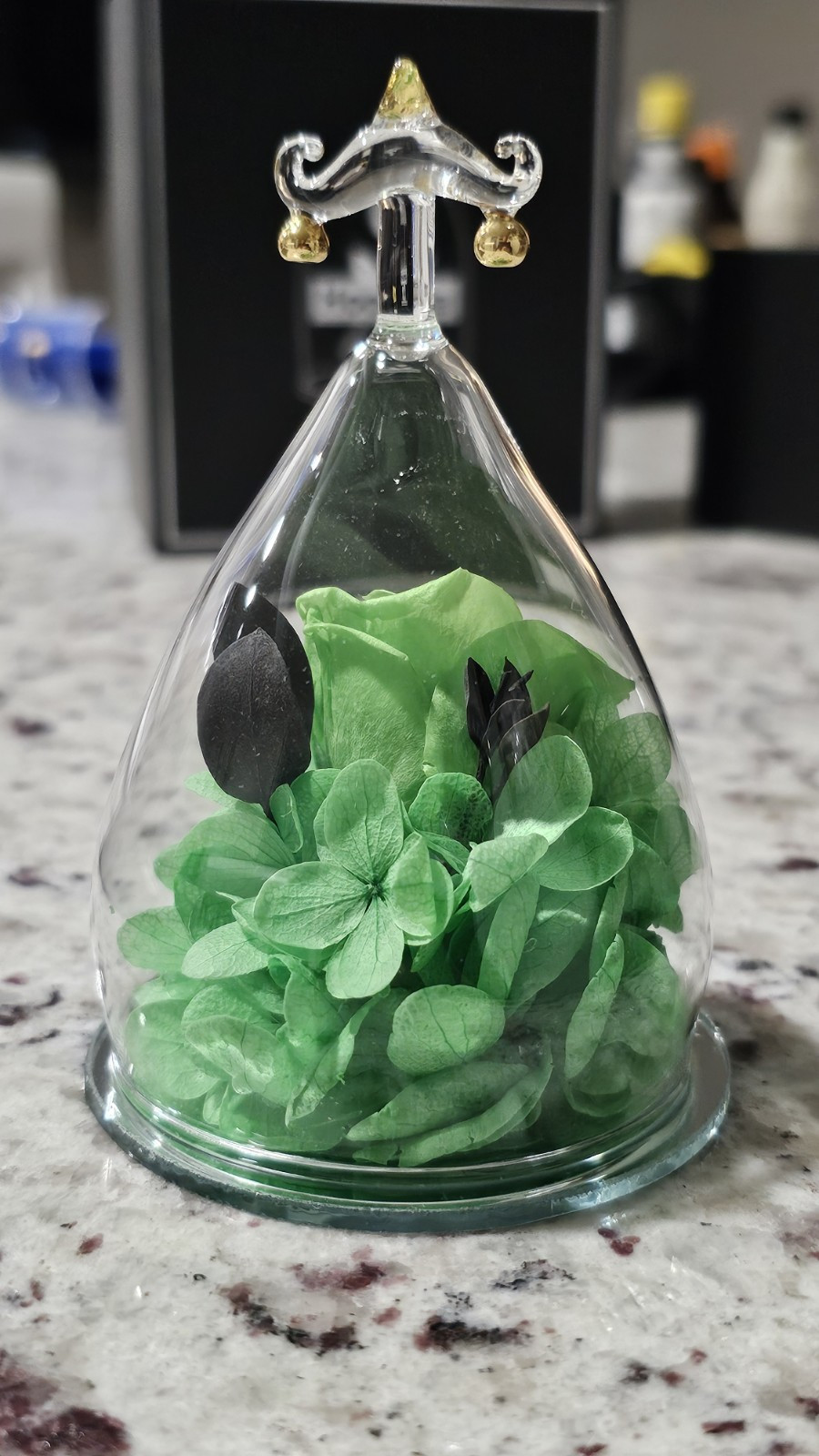 Hoomna Zodiac Green Forever Rose Gift Preserved Real Rose Libra Gift For Her