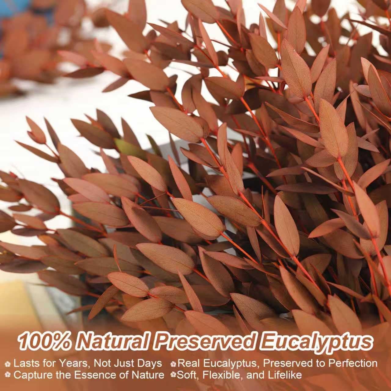 Preserved Eucalyptus Leaves Branches 1417 Inch Vase Filler Orange