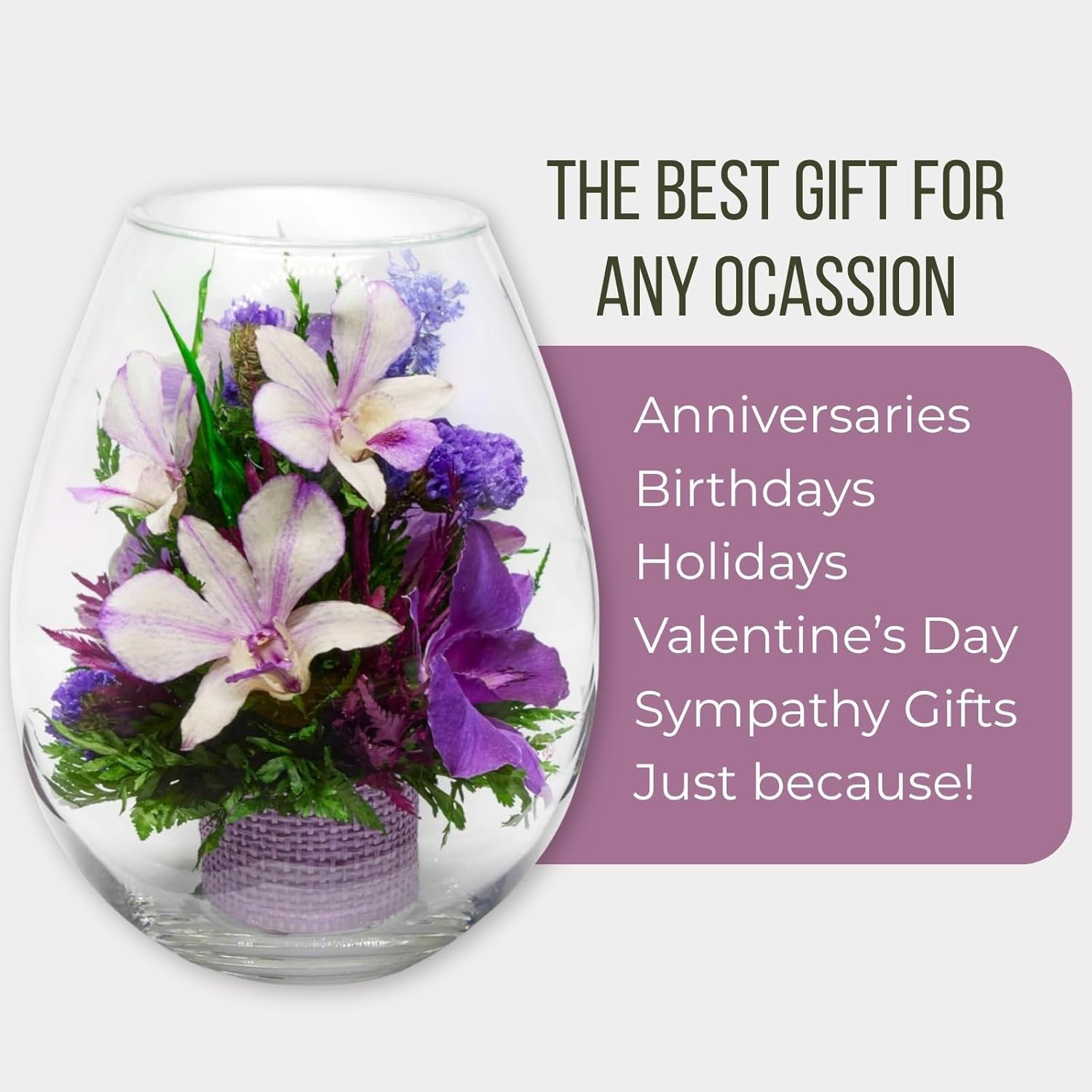 Fiora Flower Elegant Orchid Arrangement in Glass Vase Preserved Real Orchids L
