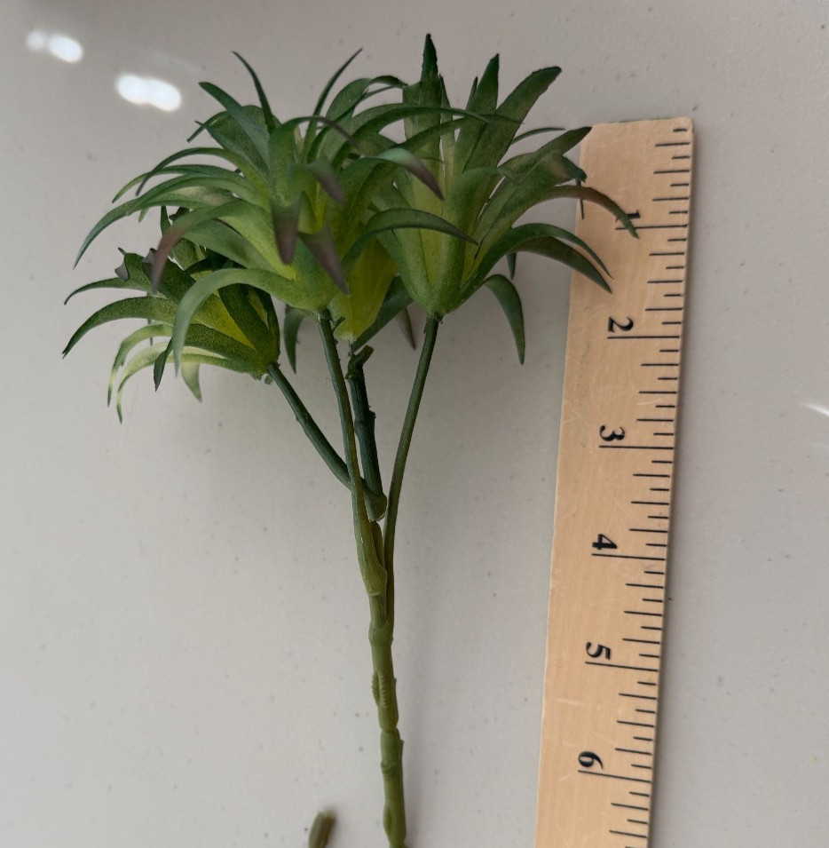 Lot 2 Ashland Faux Tillandsia Succulent Plants tropical picks Cactus (Sh17)