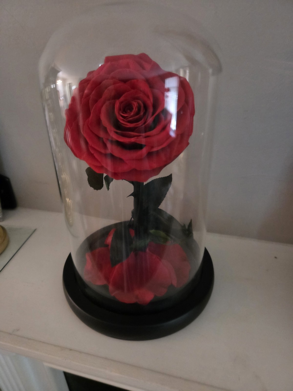 Forever Preserved Rose – Eternal in Dome-Box Mother Day Anniversary Romance Love