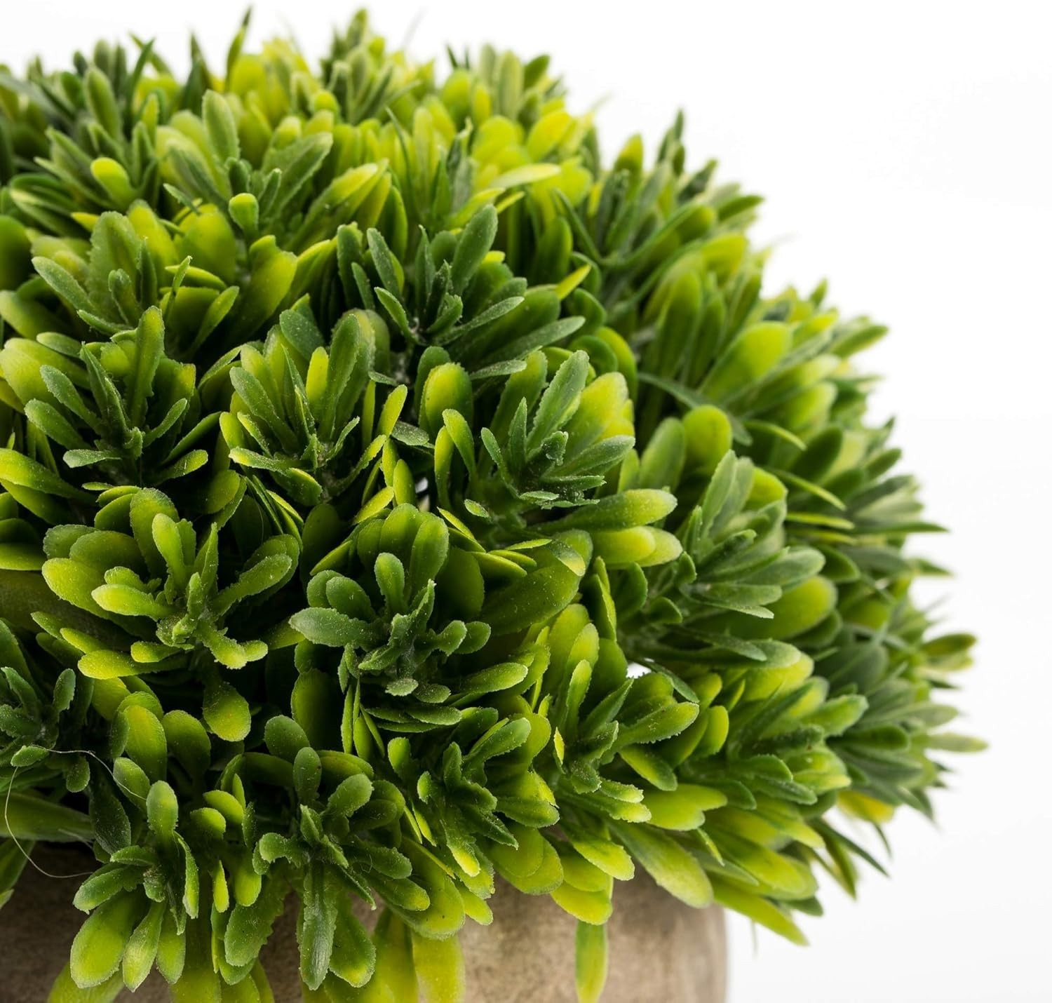 Dust Resistant Artificial Boxwood Plant – Charming Decor for Every Occasion