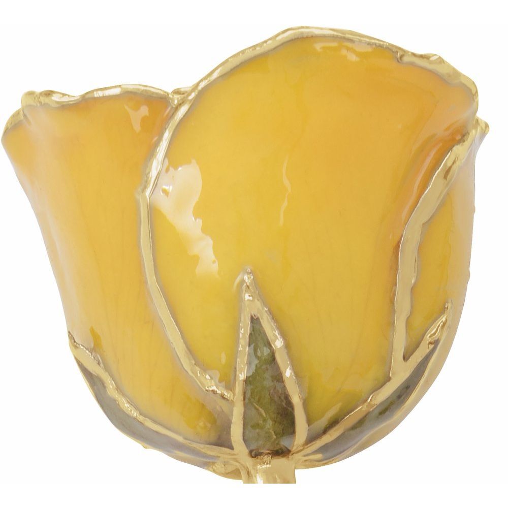 24k Gold Dipped Yellow Lacquer Real Rose Valentine’s Day Holiday Gift