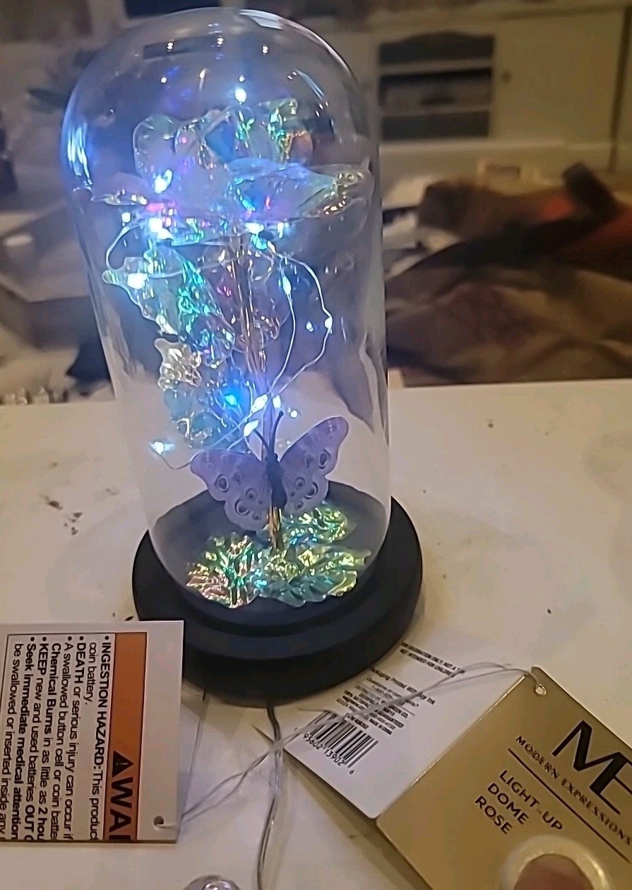 Modern Expressions Light-Up Dome Rose Butterfly Flower LED Walgreens 2024 NWT