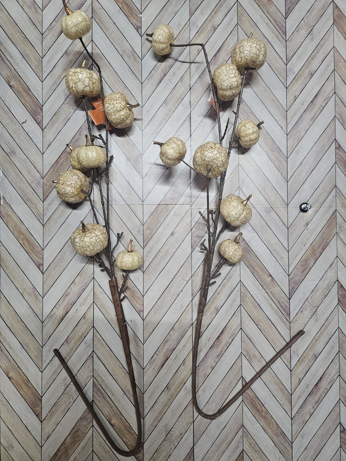Ashland Ivory Pumpkin Stem 2 Pack