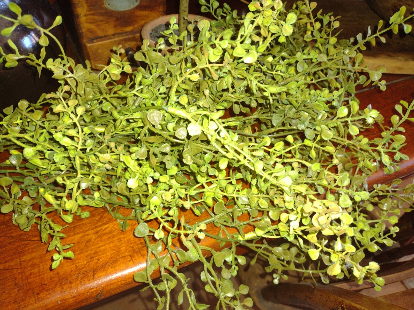 Lifelike Artificial Faux Hanging Trailing Plant Farmhouse Greenery Peperomia
