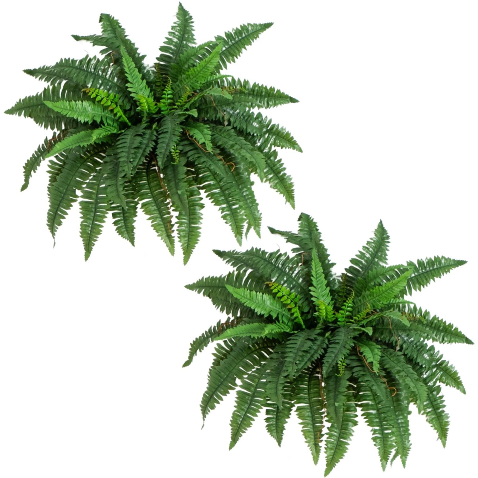 Large 40″ Boston Fern Artificial Plant – Realistic Hanging Faux Ferns, Set of 2