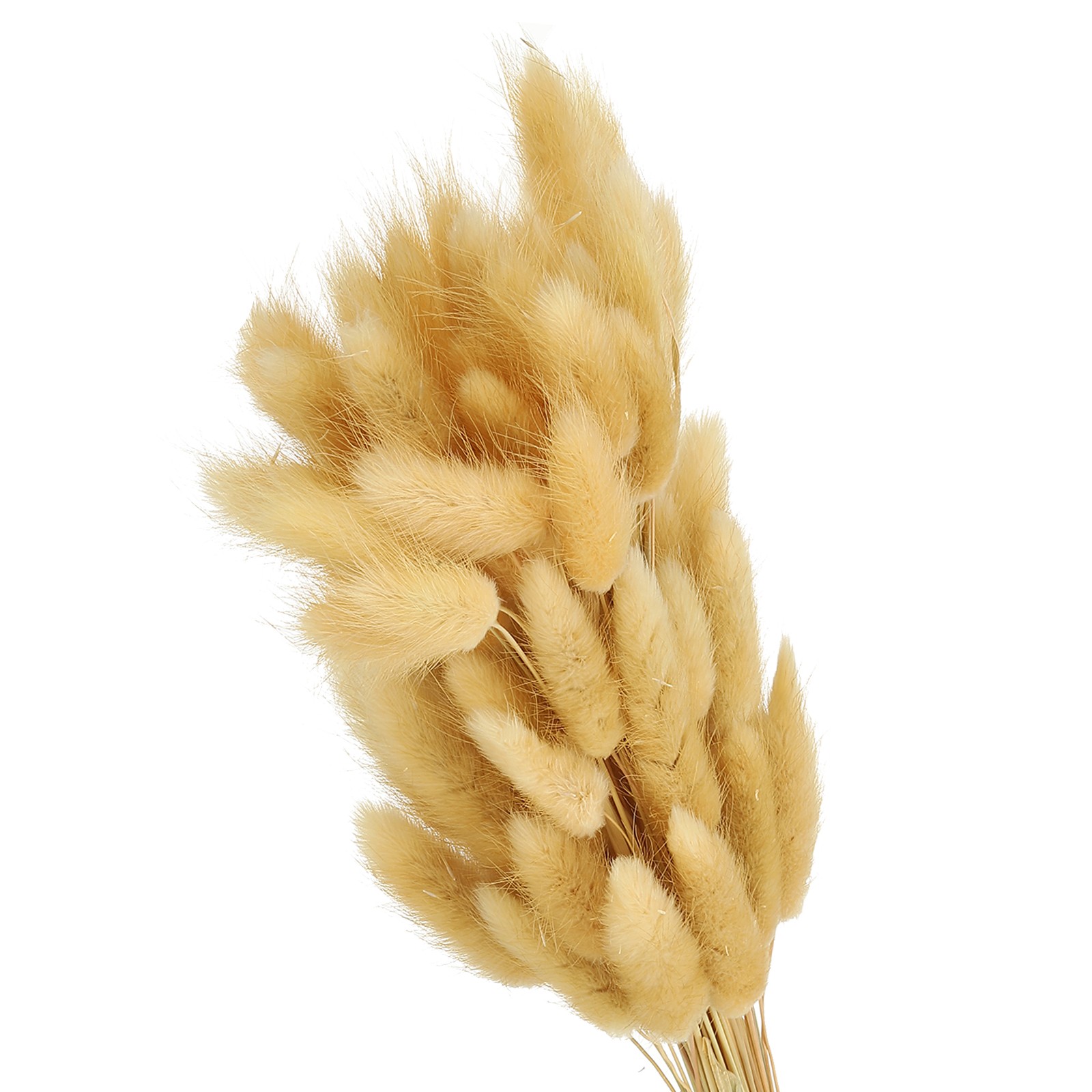 15.7in Bunny Tails Dried Flowers 150pcs Pampas Grass Decor, Beige