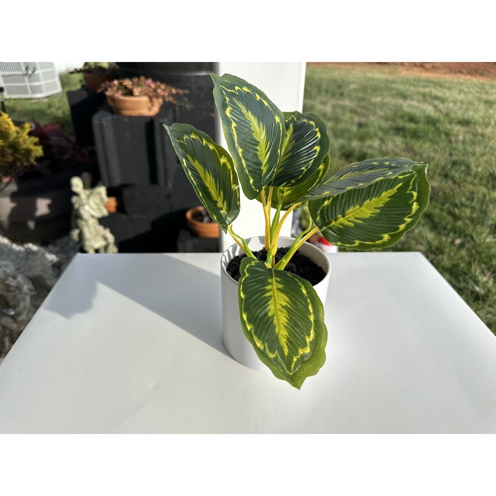 4Pc Threshold Potted Faux Plant Green Yellow Variegated Leaves White Pot 9 Inch