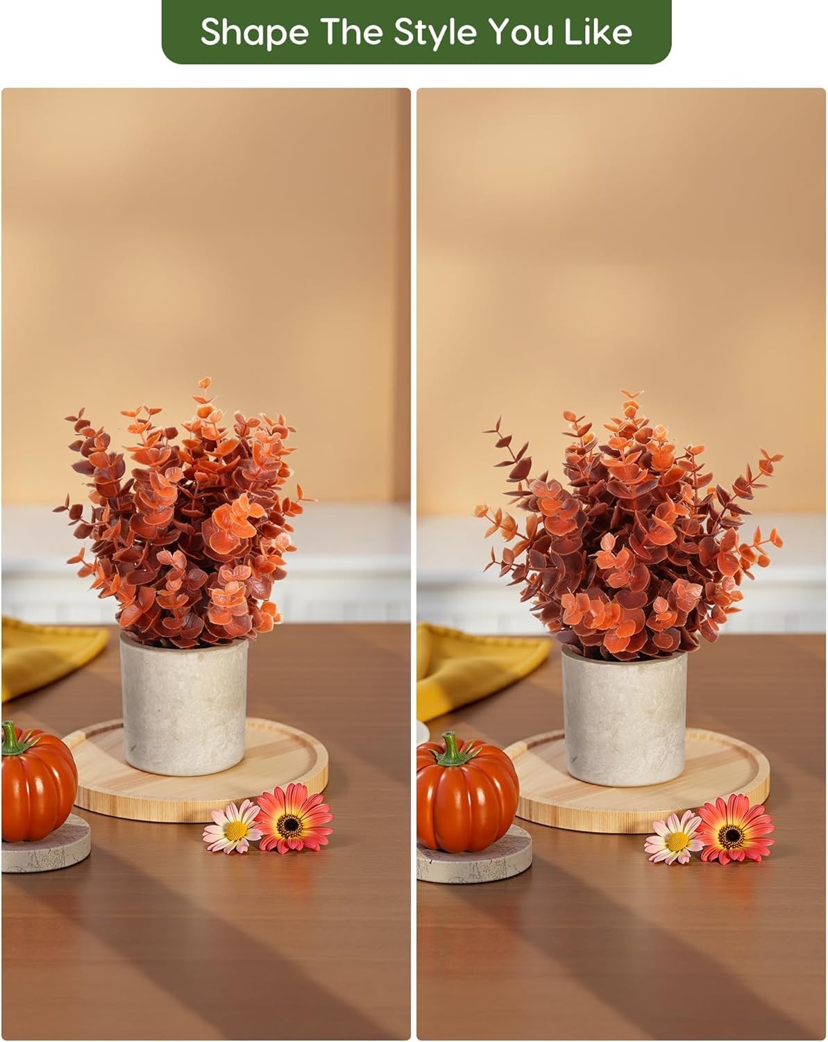 Mini Eucalyptus Plants for Living Room – 2 Pack
