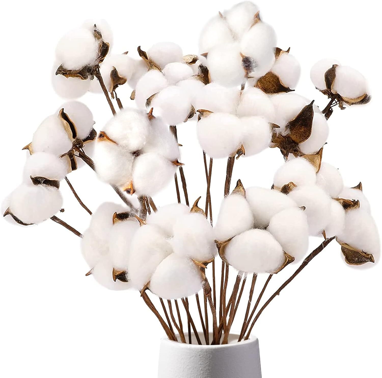 DomeStar Cotton Stems, Natural Dried Cotton 8 Packs Total 15 Bolls Cotton Spr…