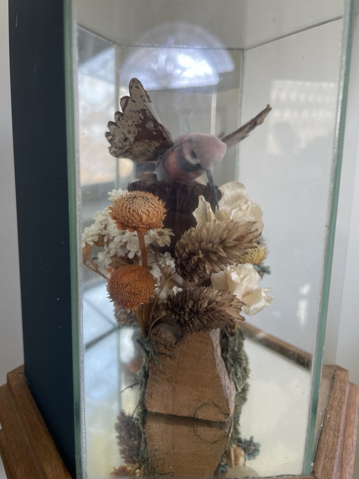 Vintage Faux Hummingbird Hexagonal Glass Display Case Dried Flower Diorama 1970s