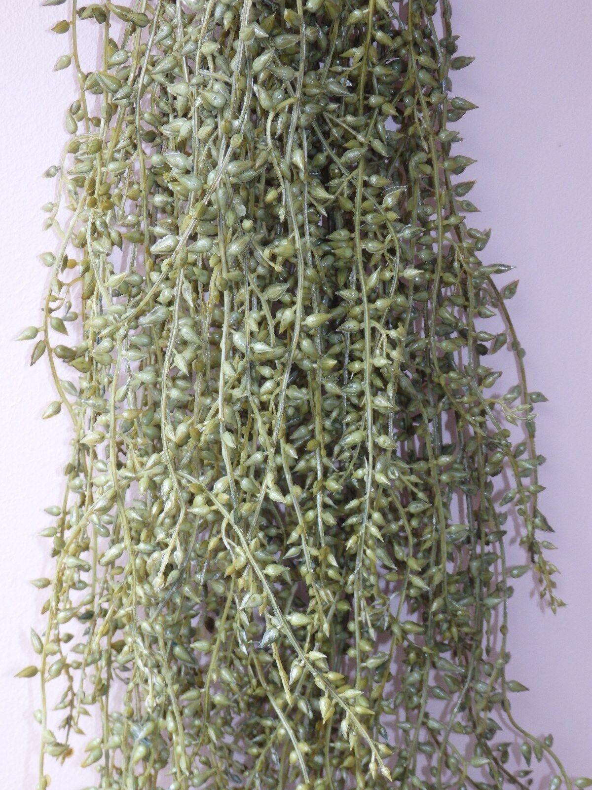 (1) Artificial 36 inch Thick Hanging BUTTON SEED Leaf Bush, Plastic, HOME DECOR