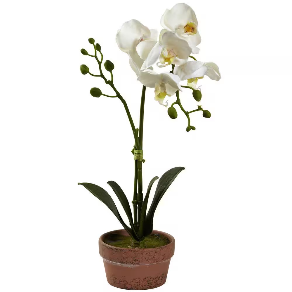 Artificial Phalaenopsis Orchid with Clay Vase (Set of 4)