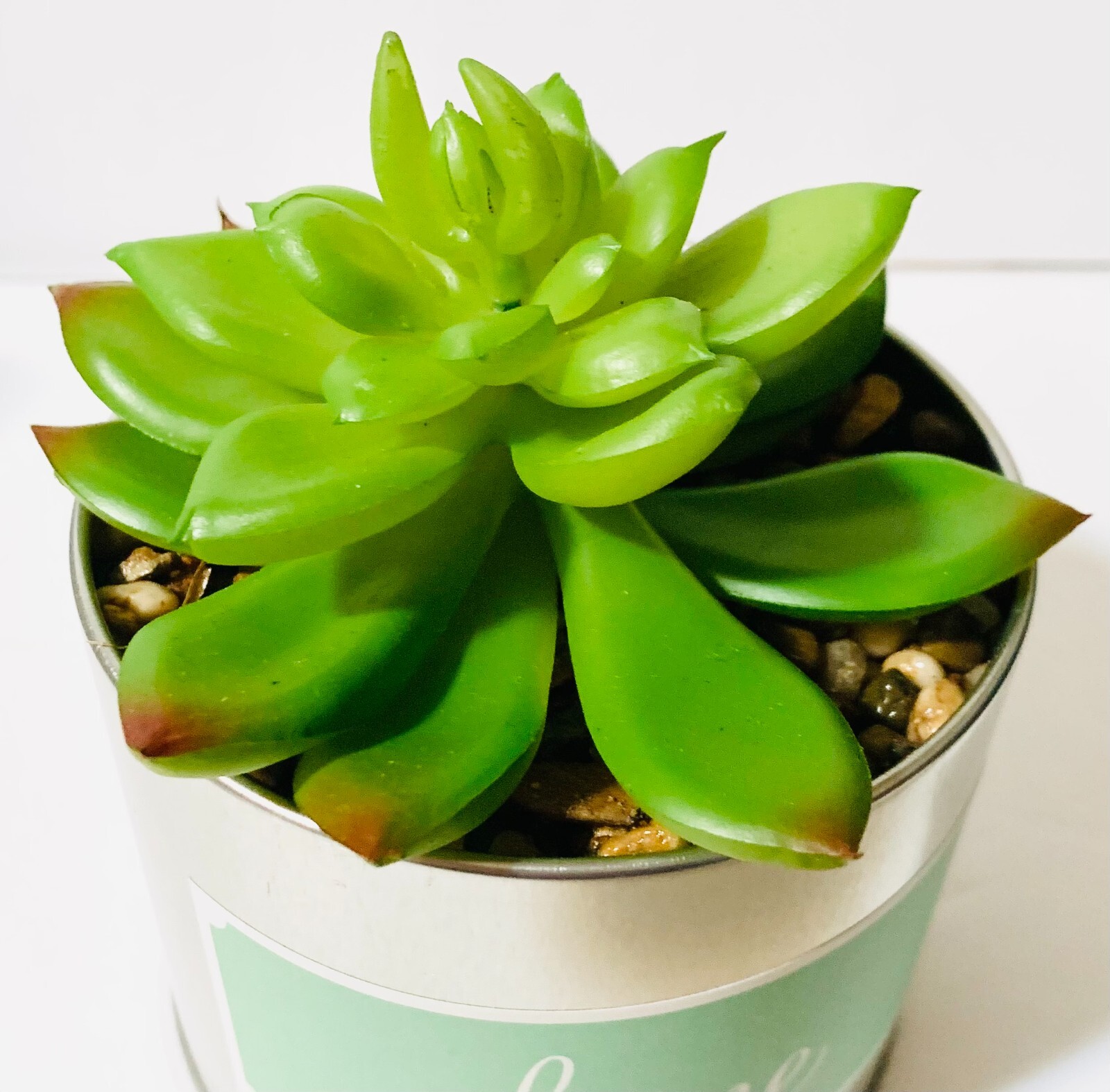 Faux Succulents in Tin Pots Set of 3 Home Sweet Home Decor New in Box