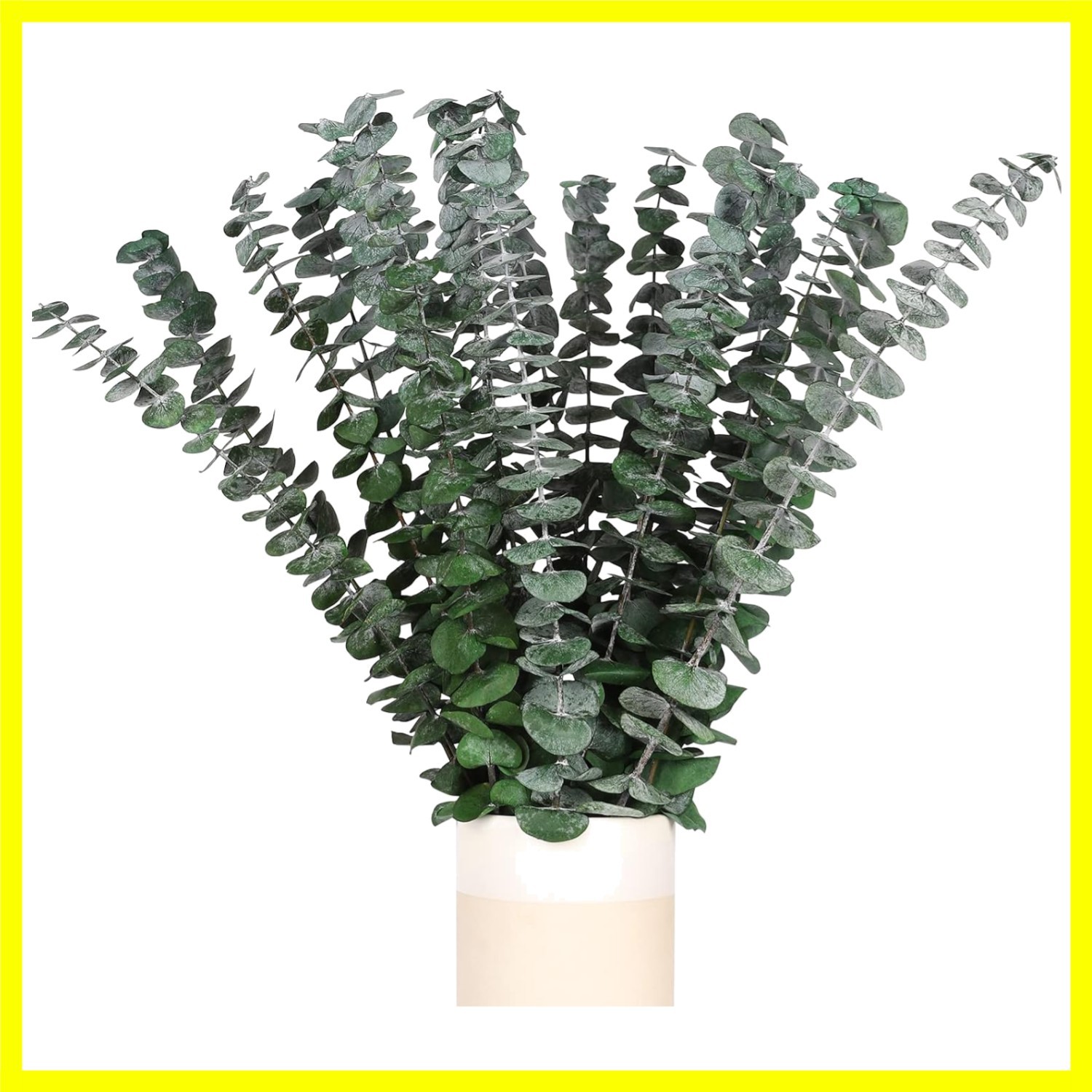 Real Dried Eucalyptus Stems, 20PCS Preserved Eucalyptus Plant 17inch Fresh Eu…