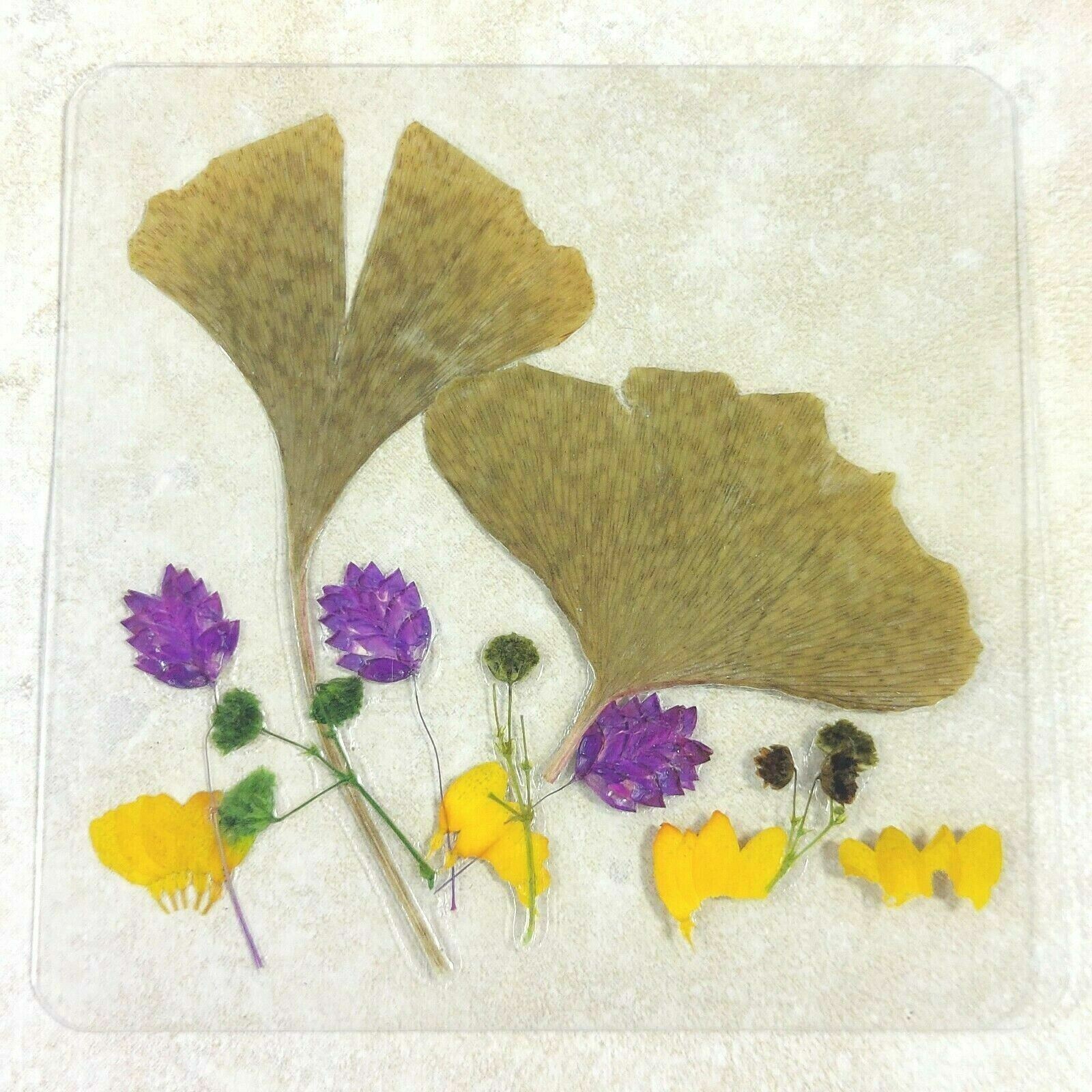 Dried Pressed Flowers Natural Flower Petal Set Resin Art Design Home Décor Gift