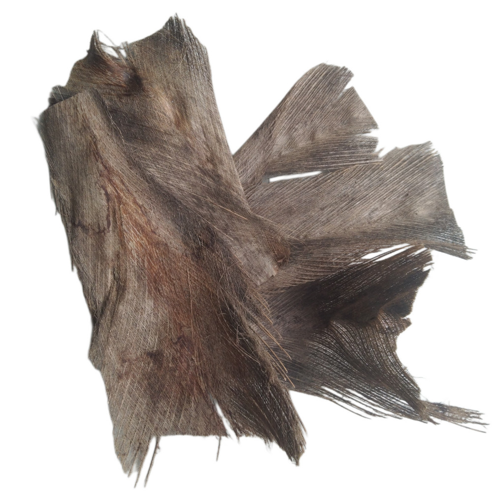 Coconut Tree Spathe for DIY Home Decorations 100% natural organic Free Shipping