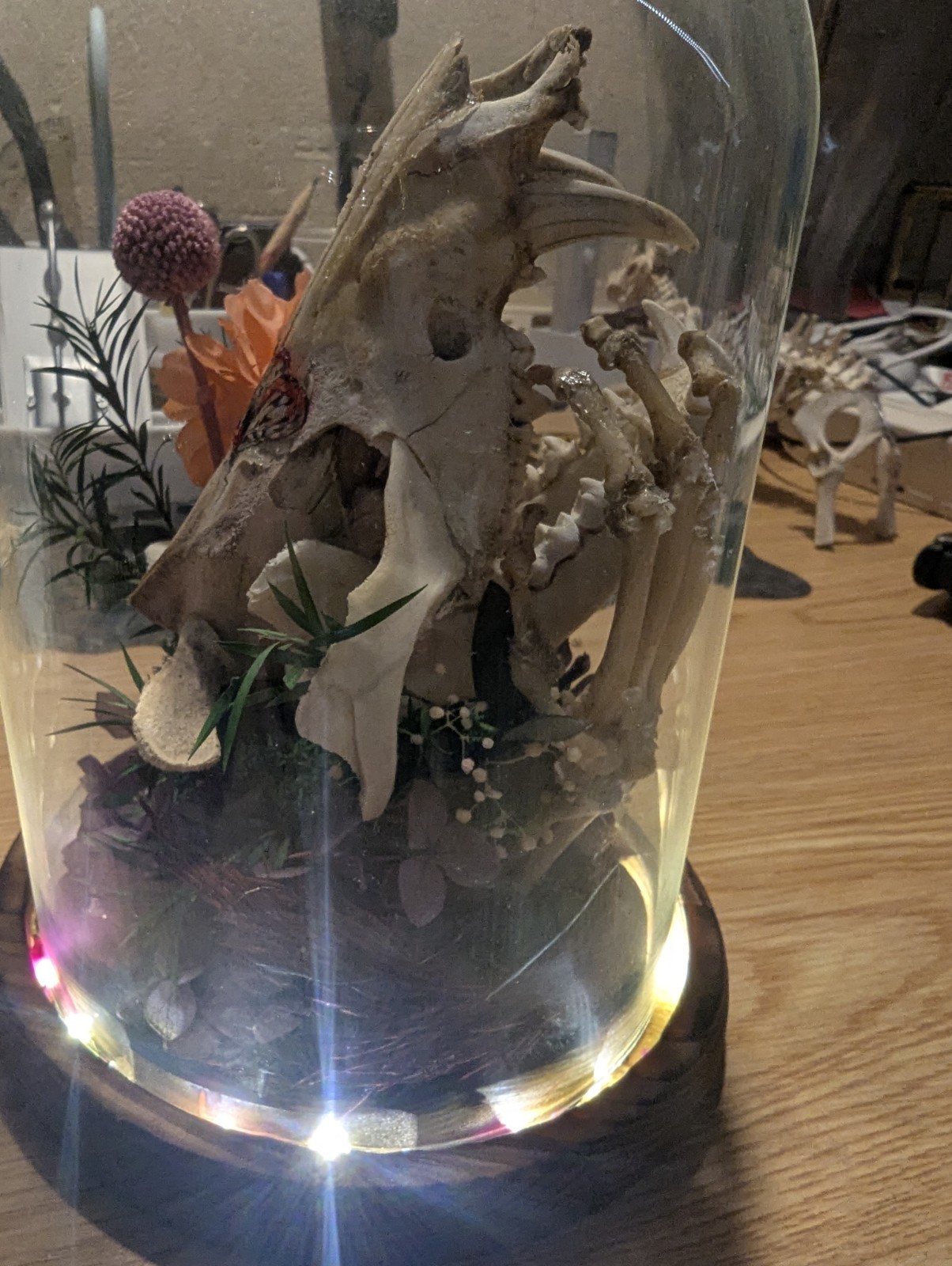 Decorative Glass Dome with Animal Skull and Floral Arrangement