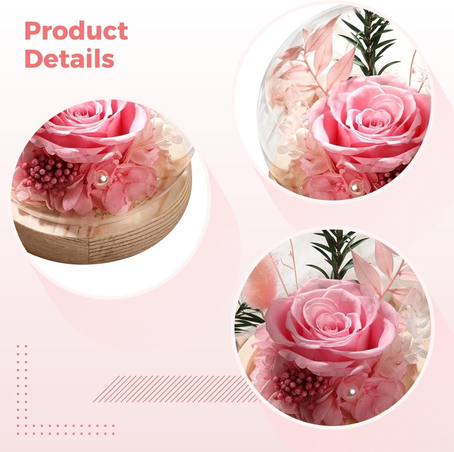 Long-Lasting Real Rose Flower, Unique Preserved Floral Gift for All Occasions