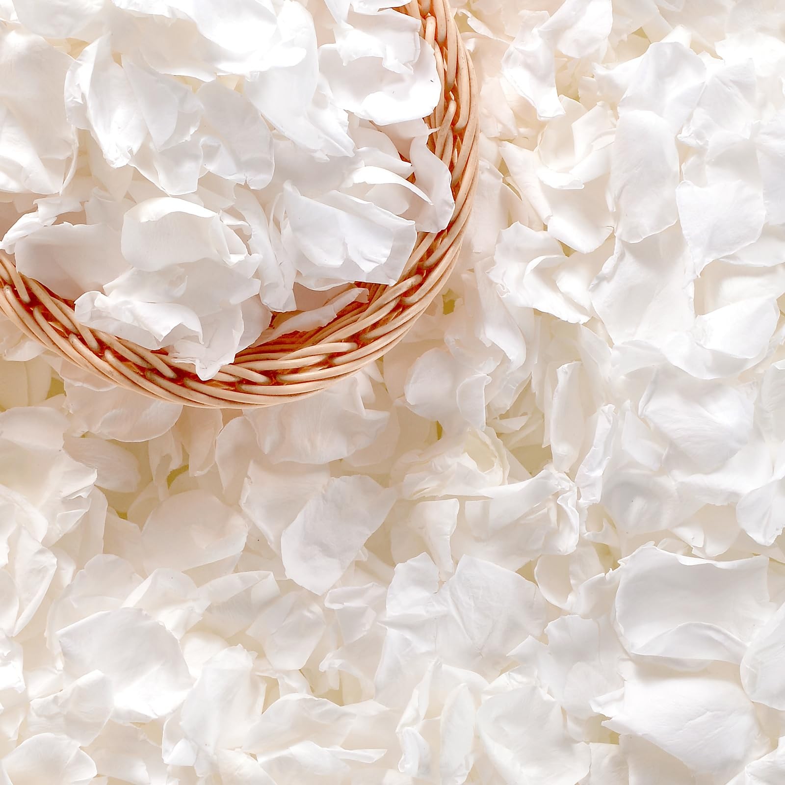 500+ PCS Real White Rose Petals, 4.57oz (130g) Preserved White Flower Petal f…