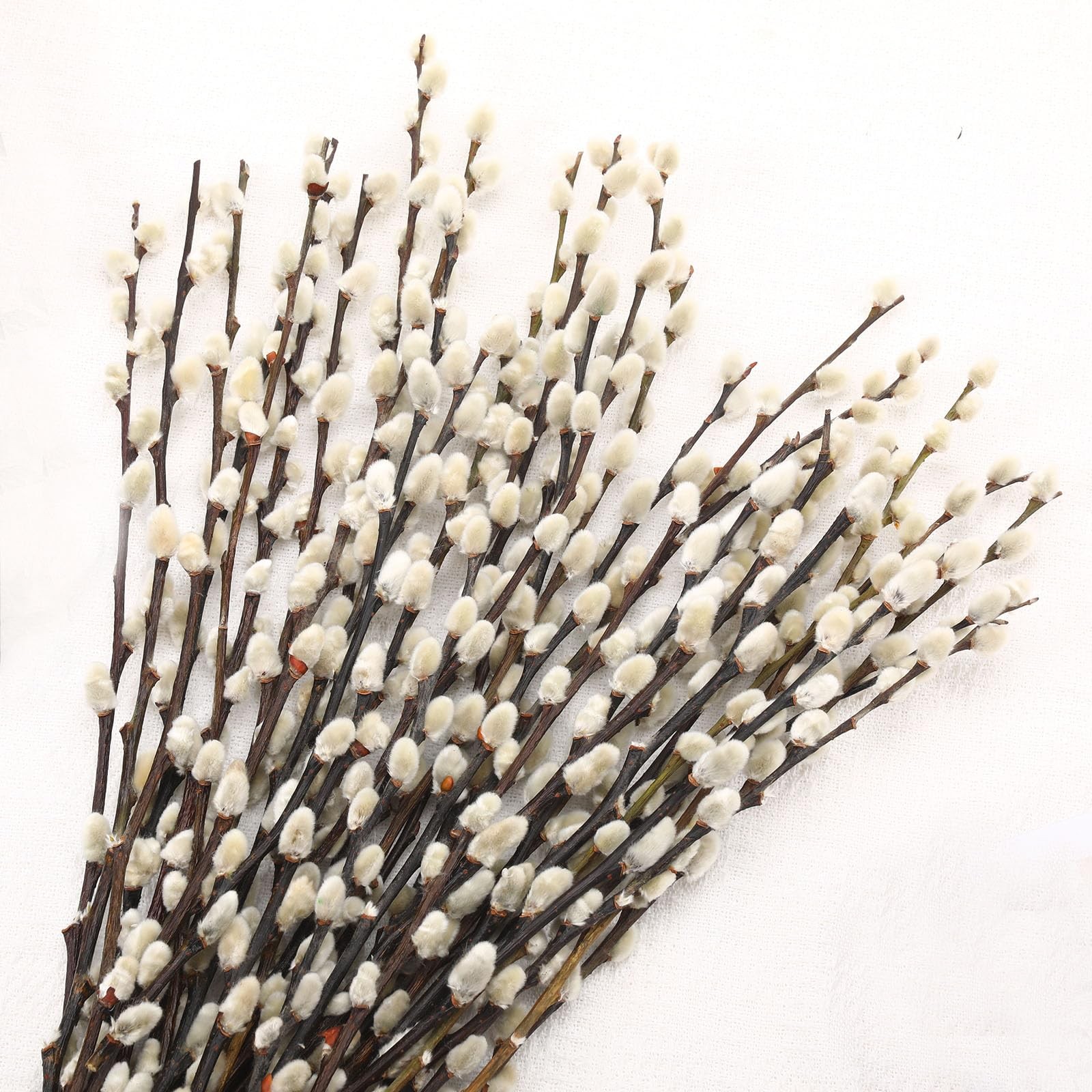 Natural Preserved Dried PussyWillow Branches for Vases, 25 Stems Real Willows…