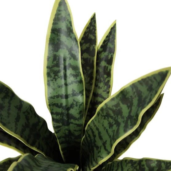CGH Faux Decorative Plant 3Pk Planter Snake Fern Prayer Plant Zero Maintenance