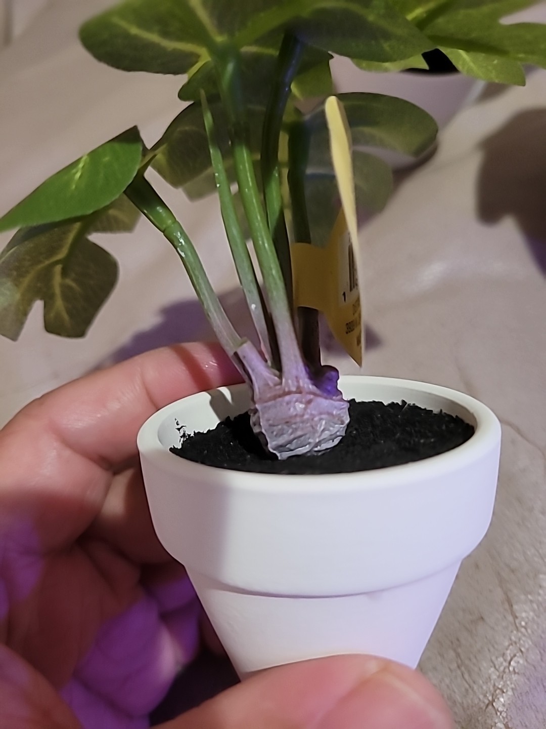 3 x Ashland Artificial Micro Plant Deco Spring Ceramic Potted 4″ H