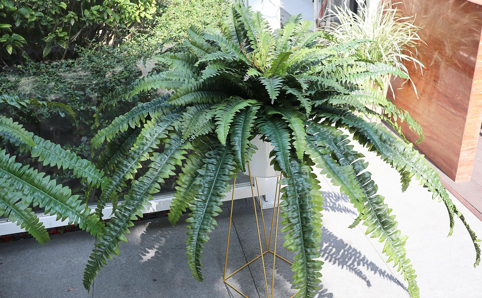 Large Artificial Boston Fern 68″ Fake Ferns Silk Artificial Plants for Outdoo…