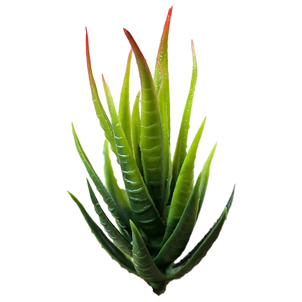 Fresh and Vibrant Artificial Aloe Plant Realistic Simulation Fake Flower