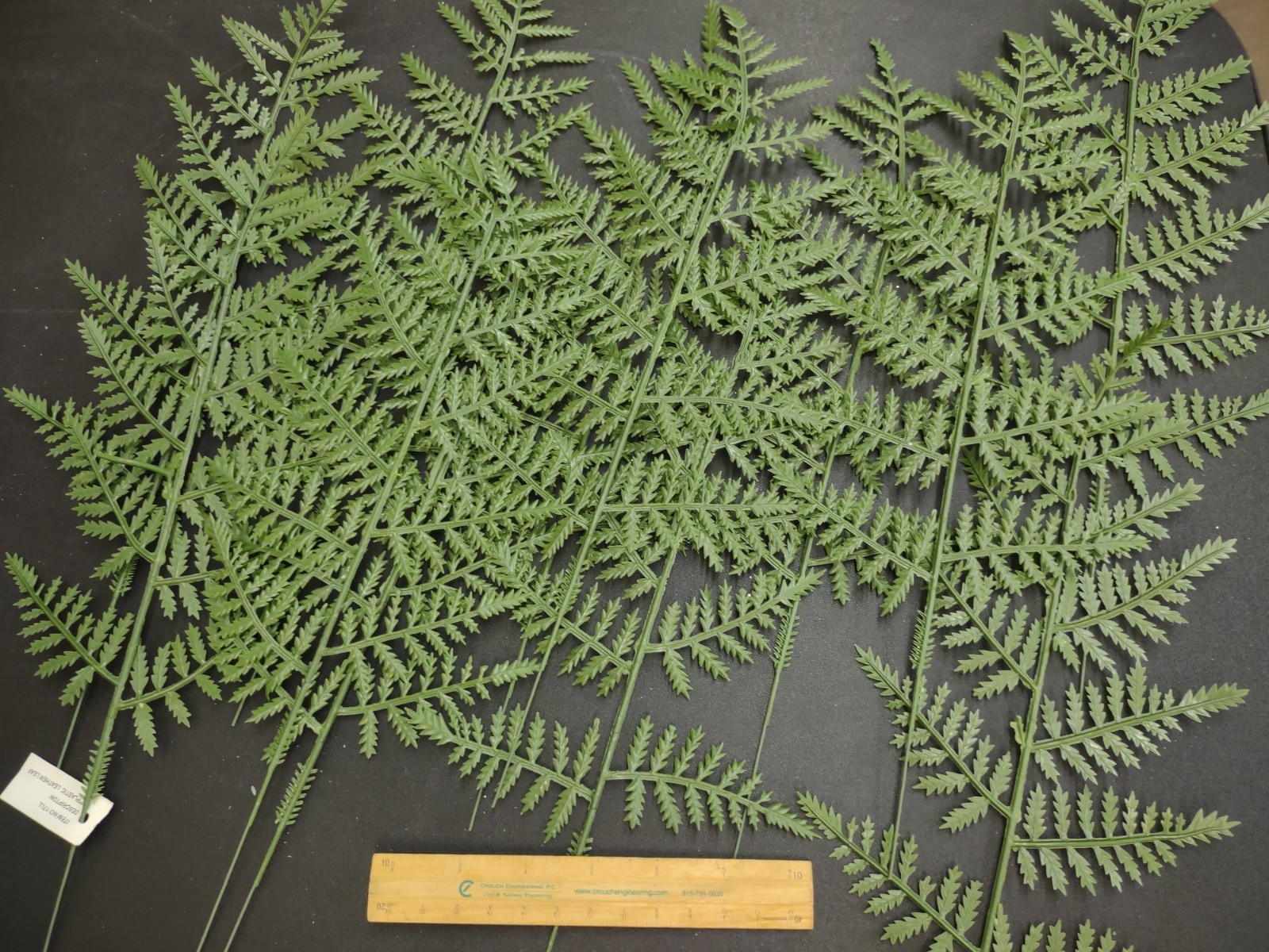 12 Stems Retro Poly Leatherleaf Fern, 13 Inches, Wedding Bouquets & Arrangements