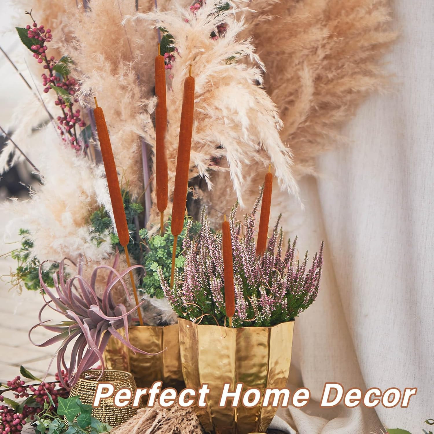 Dried Natural Brown Cattails Flowers – 20PCS Real Broadleaf Pencil Cattail Stems
