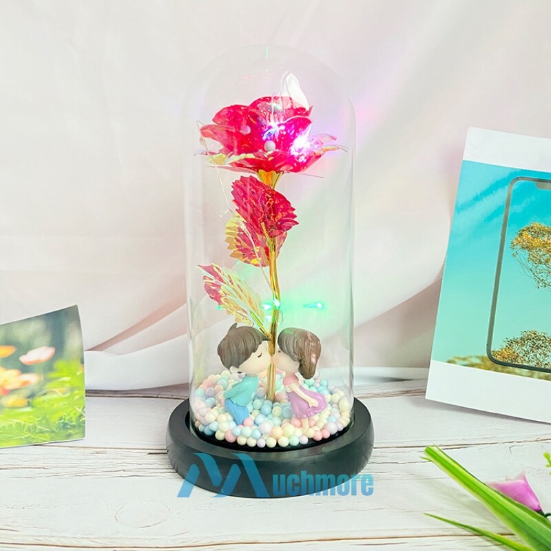 Enchanted Preserved Rose Flower In Dome Glass LED Night Light Anniversaries Gift
