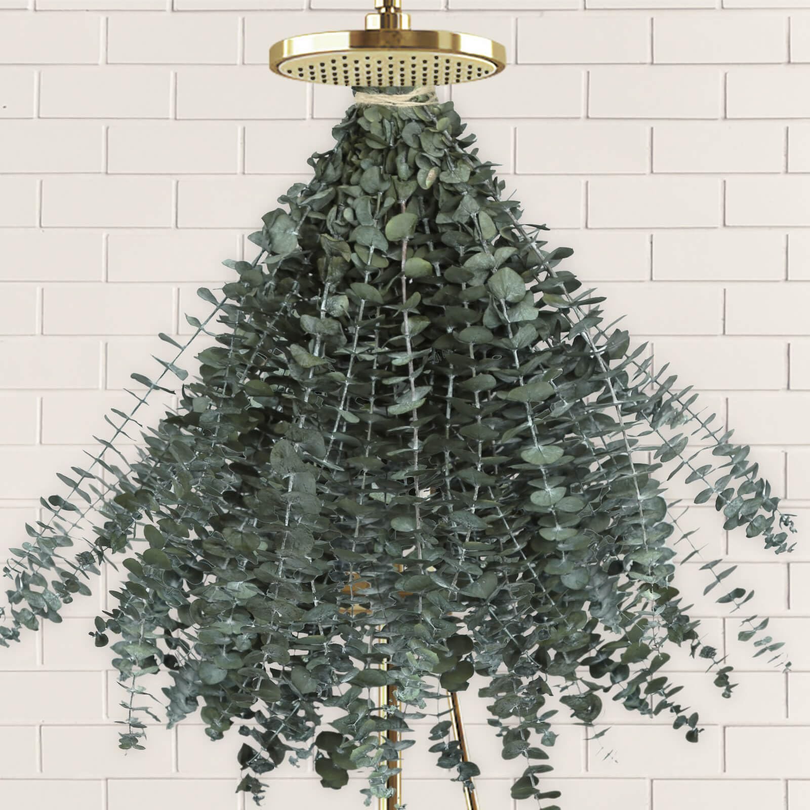 41 PCS Dried Preserved Eucalyptus Bundle for Shower-17 Real Large Dried