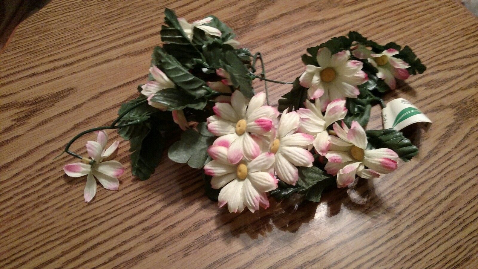DAISY FLOWER VINES YELLOW CENTER WHITE PETALS WITH PINK TIPS IN COLOR