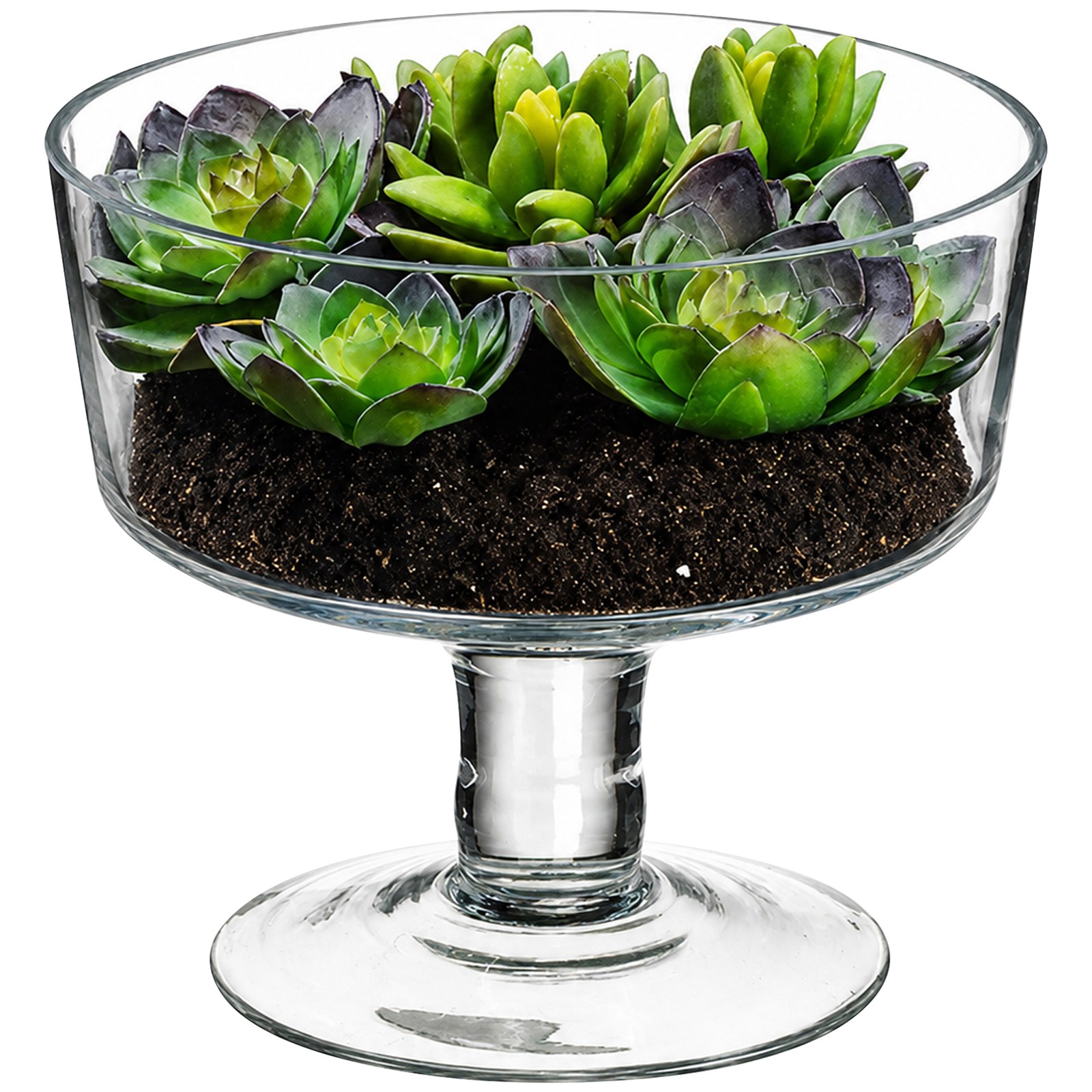 Allstate 6.75IN Artificial Spring Succulent Garden in Clear Glass Vase
