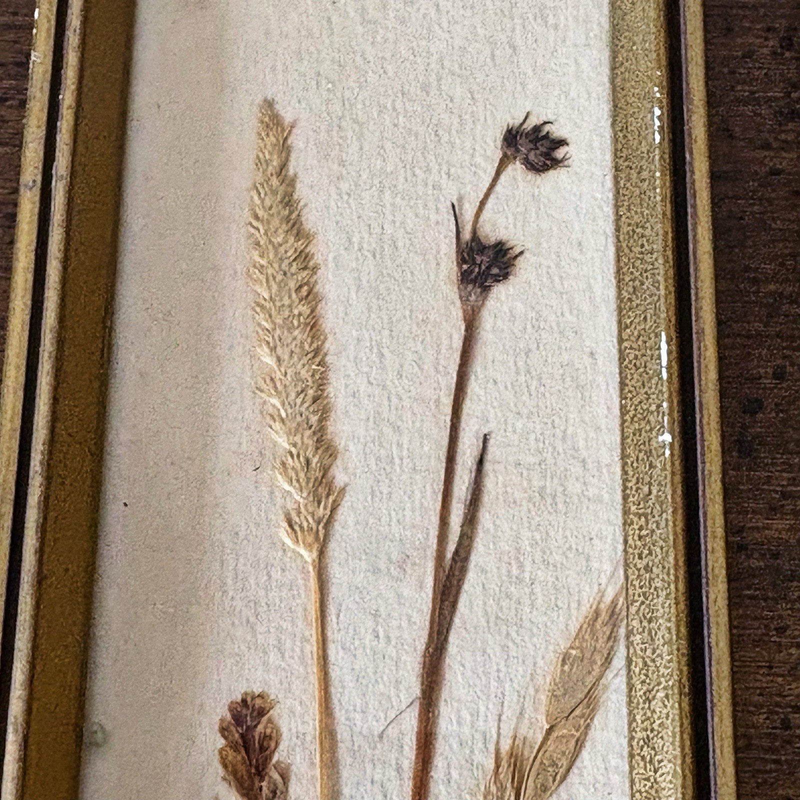 Set Vintage Pressed Flower Framed East Germany 7.5”x2.75” Cottage Core Signed