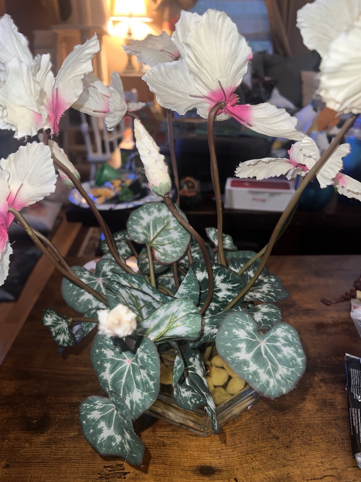 Artificial Cyclamen Persicum House Plant, Glass Dish w/ Water & Rocks