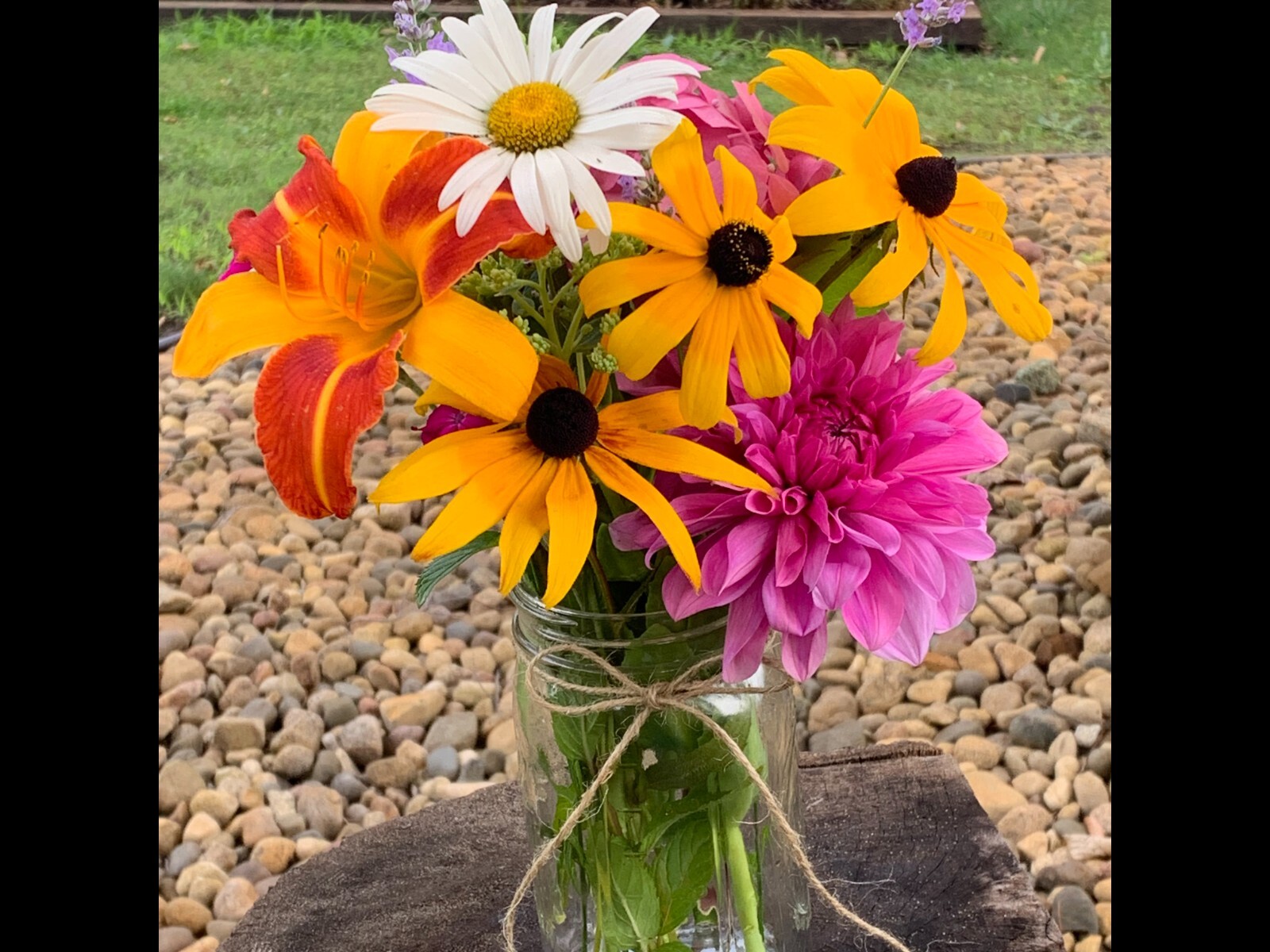 Fresh Cut Variety Flowers – Garden of Eden Flower Company