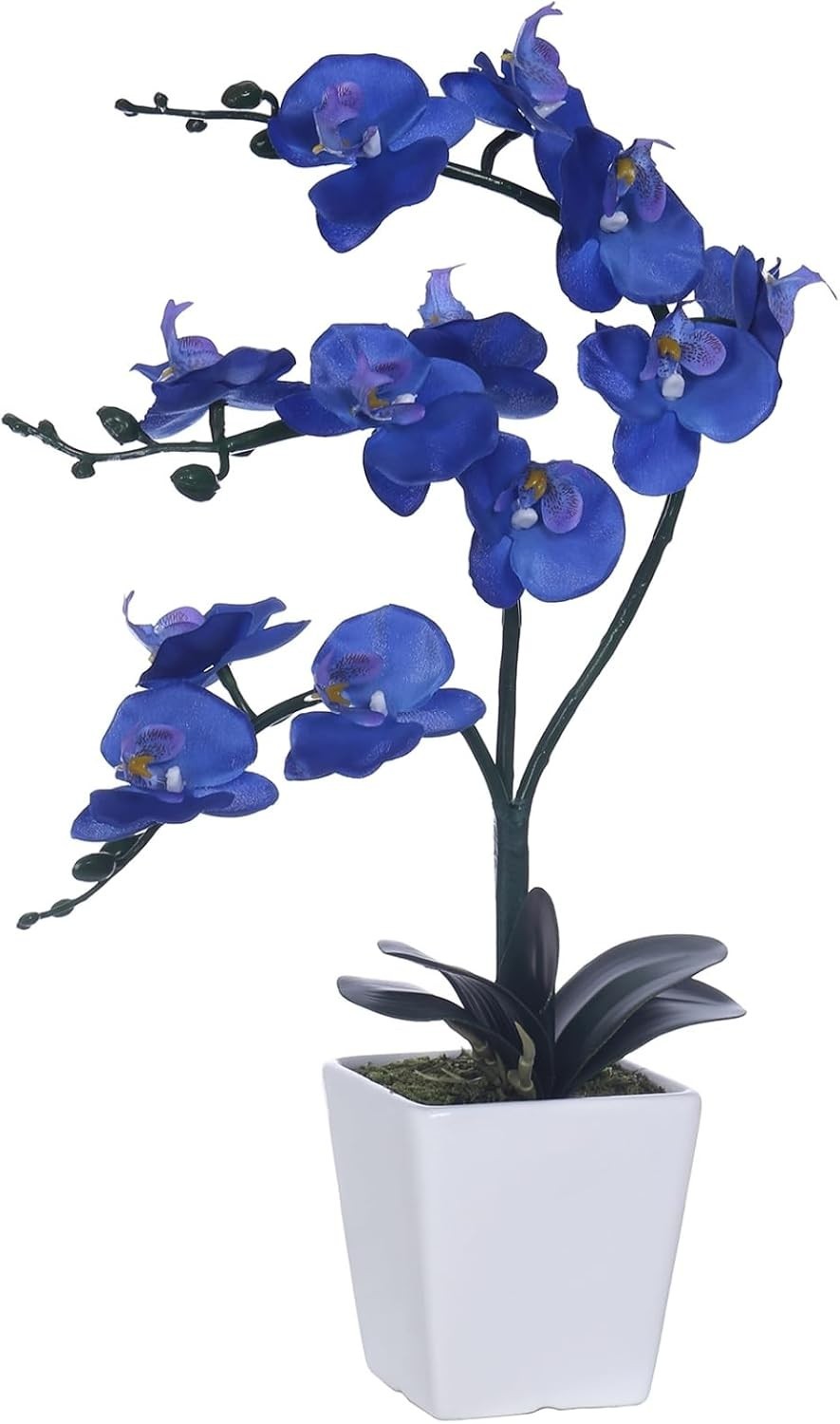 Artificial Silk Phalaenopsis Orchid Flower Plant Pot Navy Blue 15 Inch