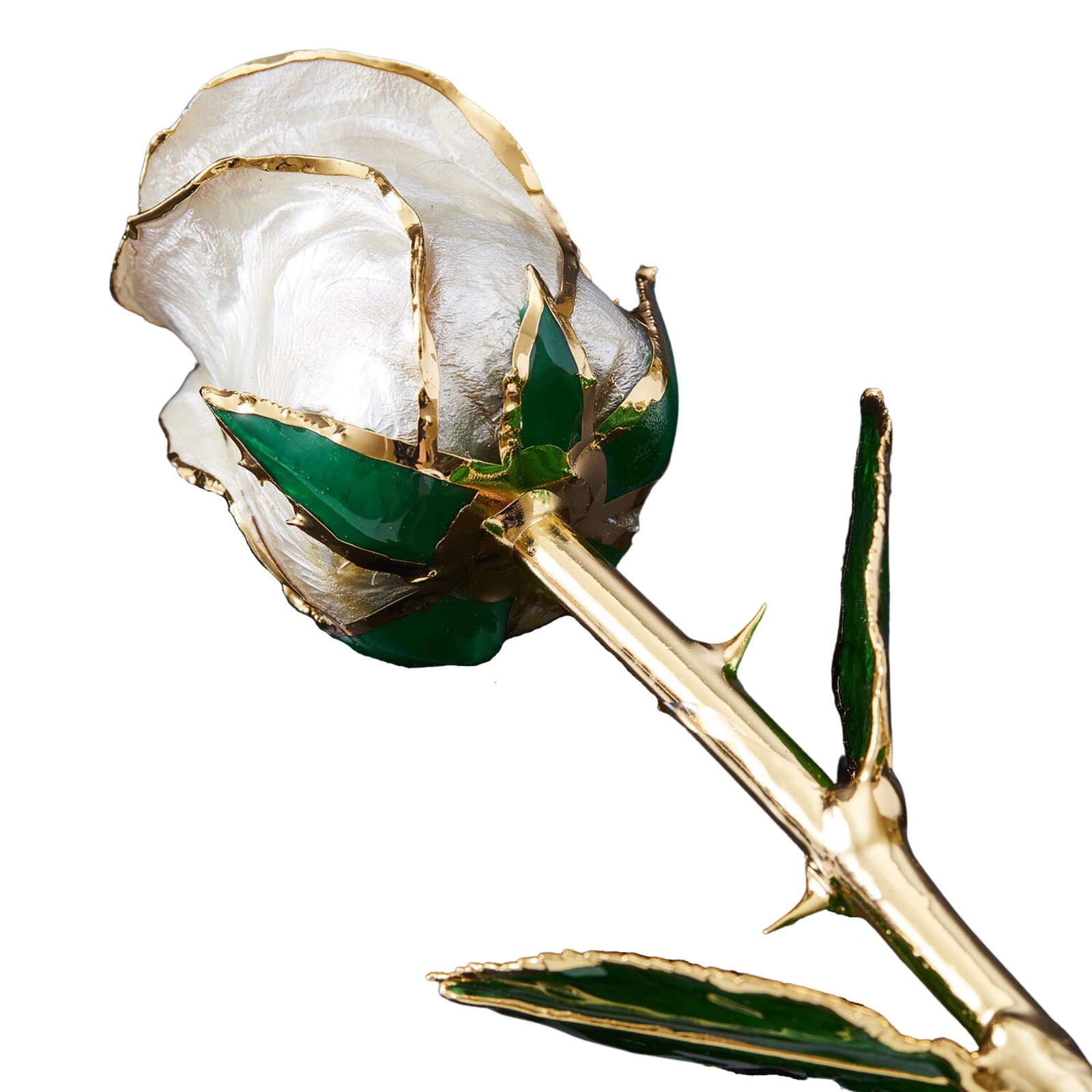 Pearl Collection – Real 24k Gold Dipped Rose – Gift for Her (Angel Dust)